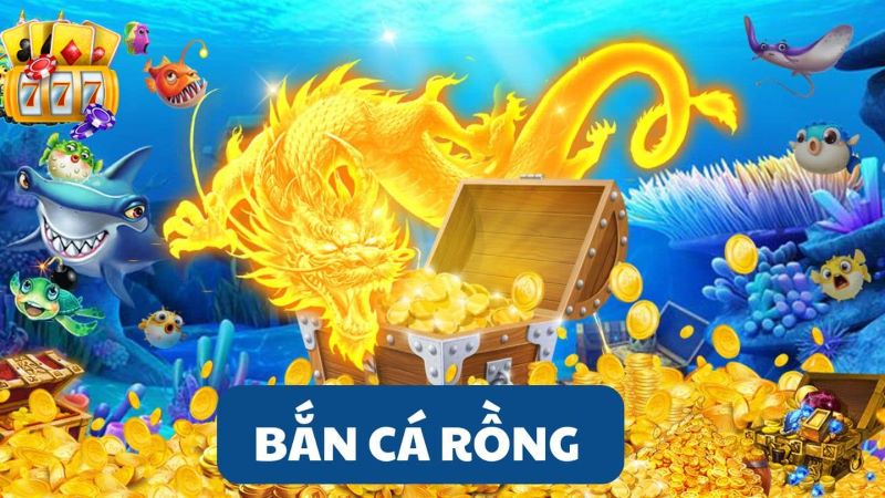 Hệ thống tích điểm và nâng cấp phần thường 