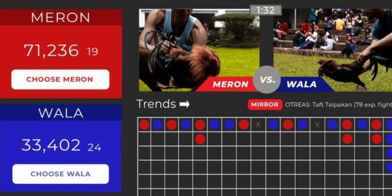 Hướng dẫn cách chơi đá gà giúp người mới thắng đậm 2 Cá cược đá gà trực tuyến minh bạch, an toàn